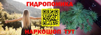 MDMA Premium VHQ Камышлов