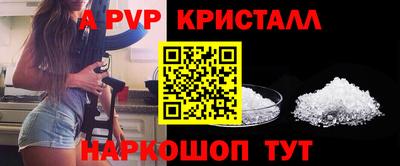 spice Кандалакша