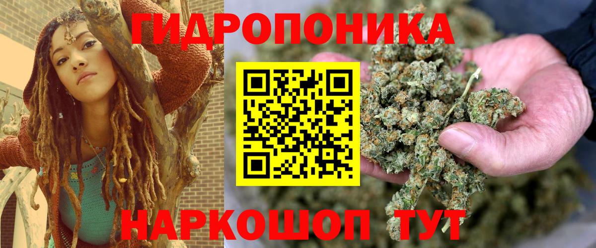Бошки Шишки семена  Канабис LSD WEED  Лангепас  Каннабис THC 21%  Вход с VPN 
